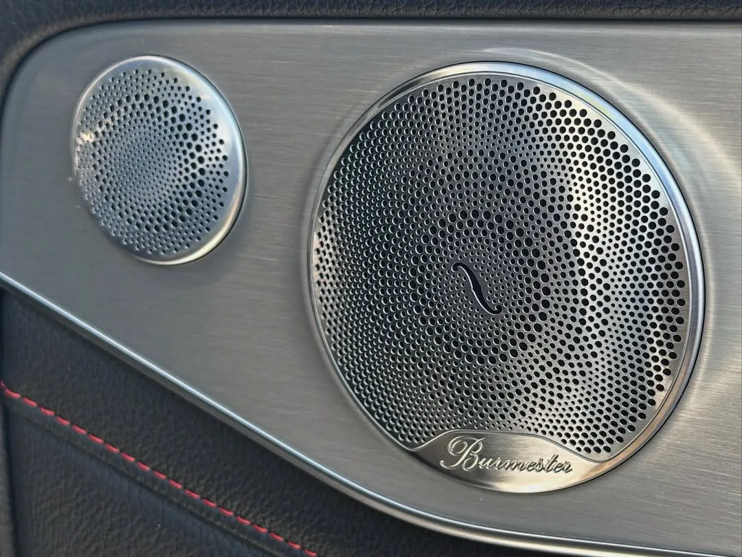 2017 Mercedes-AMG GLC 43 4MATIC: Burmester door speaker